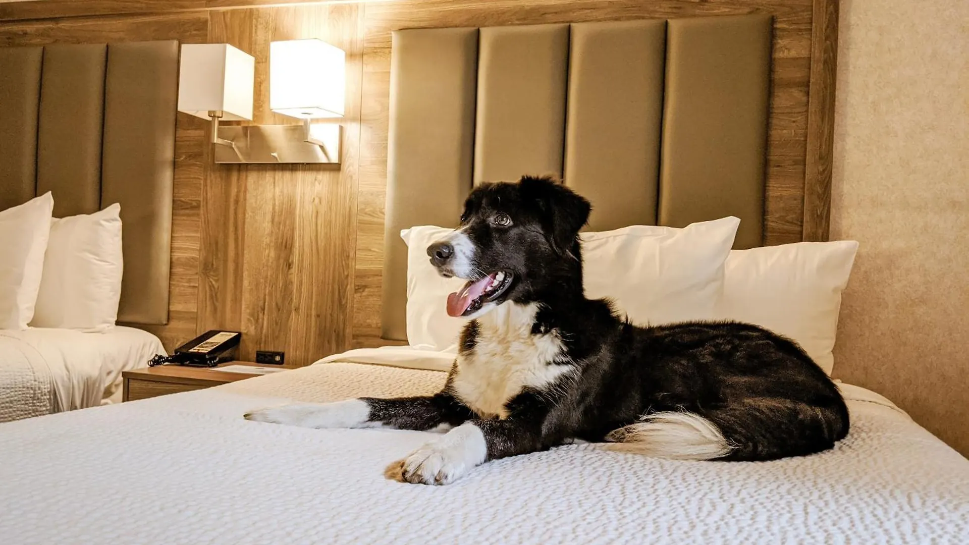 Days Inn By Wyndham Victoria On The Harbour 3*,  Καναδάς